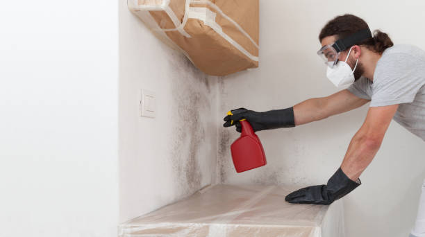 Professional Bathroom Mold Removal technician working in Gloucester City, NJ