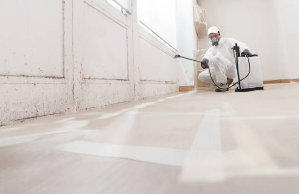 24/7 Emergency Bathroom Mold Removal experts in Gloucester City, NJ
